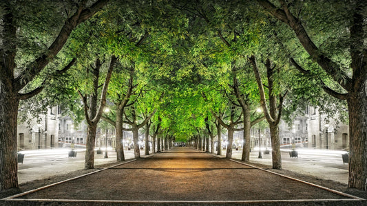 Phil Carrière Oeuvre original - Photographie Echo 20