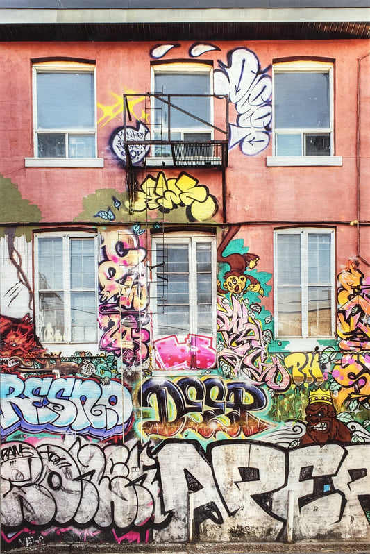 Phil Carrière Oeuvre original - Photographie Kong