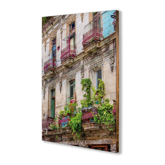 Phil Carrière Oeuvre original - Photographie La Flor II