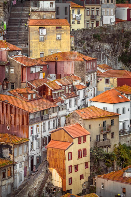 Phil Carrière Oeuvre original - Photographie Three Little Bird
