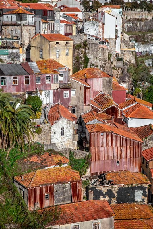 Phil Carrière Oeuvre original - Photographie Three Little Bird II