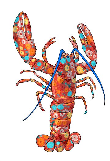Kit Li Édition limitée - impression numérique 17x11 Red Lobster